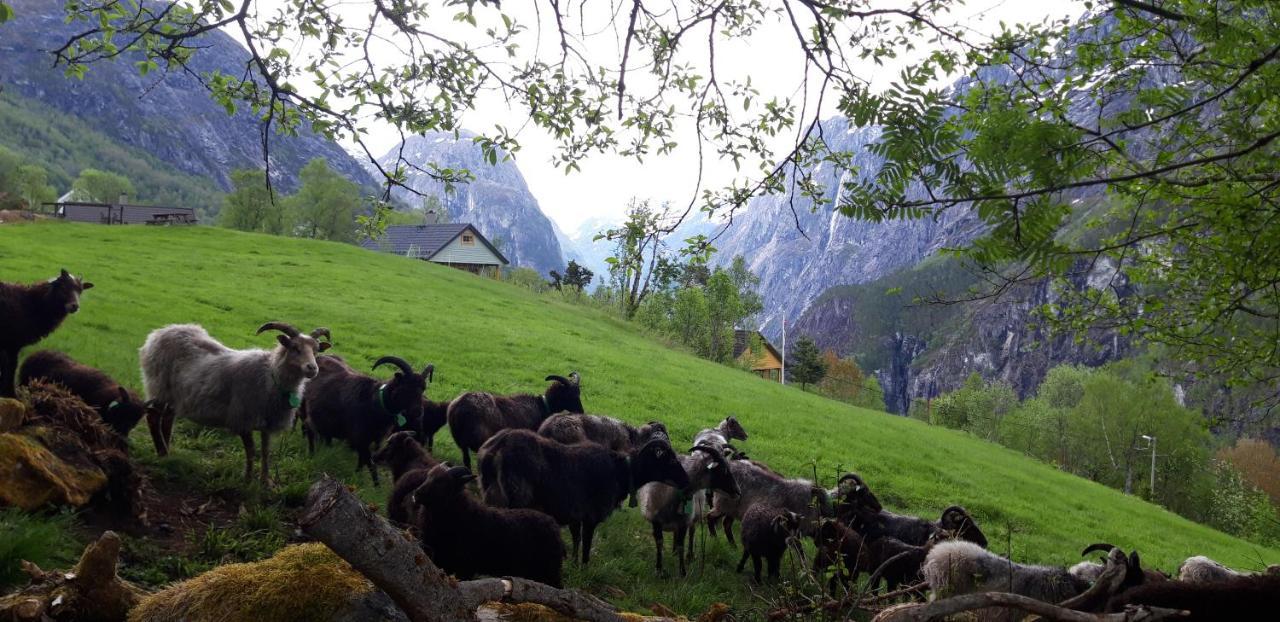 Stalheim Fjord Og Fjellhytter Exterior foto